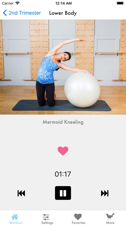 Fit Pregnancy screenshot-6