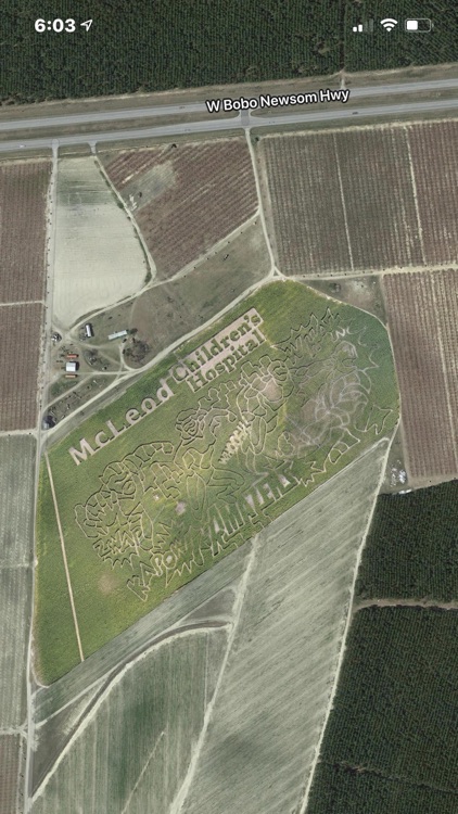 McLeod Farm