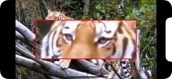 Video Player Magnifier