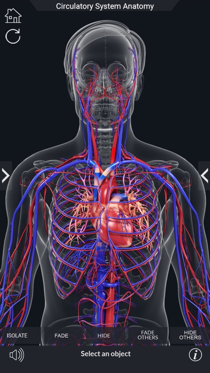 My Circulatory System Anatomy screenshot-3