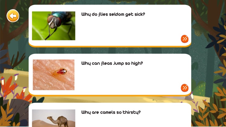 Nature - learn about animals