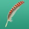 BirdWorld - the first global birding app