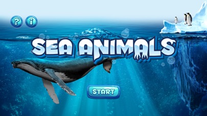 Sea Animals screenshot 3