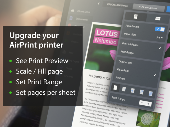 ‎Printer Pro by Readdle Screenshot