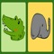 Redirect the crocodiles balls and elephants balls into the target, but it's harder than you think