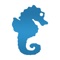 The reference software for dedicated seawater aquarists