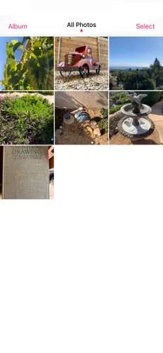 Screenshot 1 LP - Live Image to Video & GIF iphone