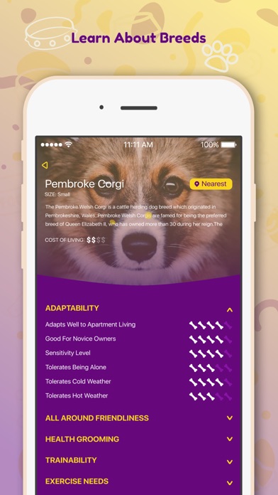 How to cancel & delete DreamDog: Find Your Dream Dog! from iphone & ipad 3