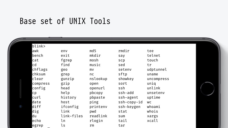Blink Shell: Mosh & SSH Client