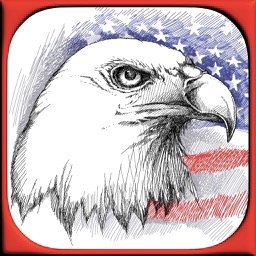 USA Independence Day Stickies