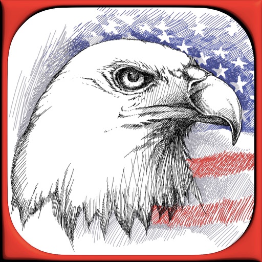 USA Independence Day Stickies