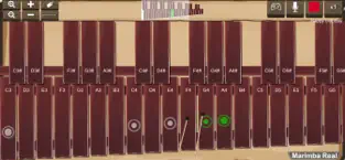 Catturare 1 Marimba, Xylophone, Vibraphone iphone