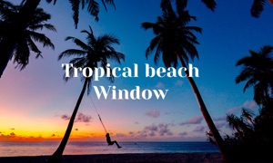 Tropical Beach Window