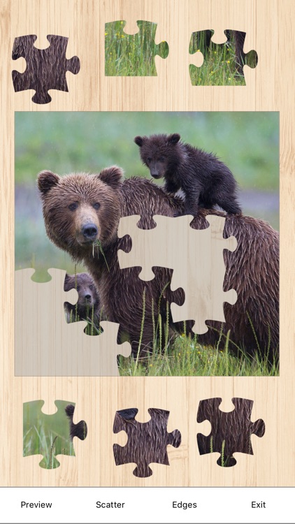 Puzzle Party - Jigsaw Puzzles screenshot-3