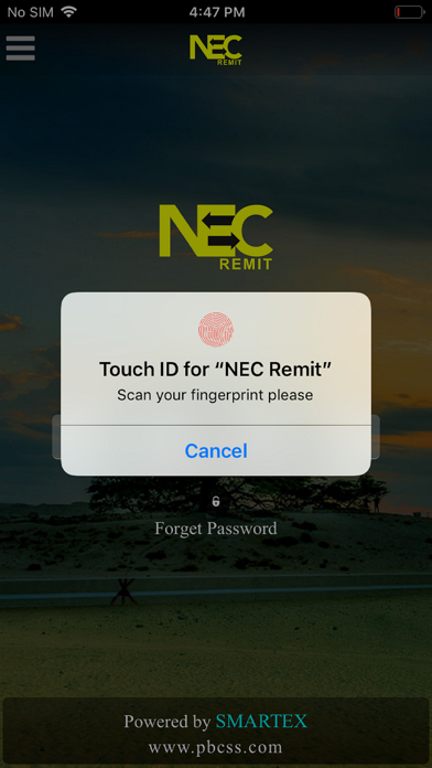 NEC Remit screenshot 2