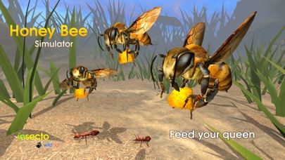 Honey Bee Simulator screenshot1