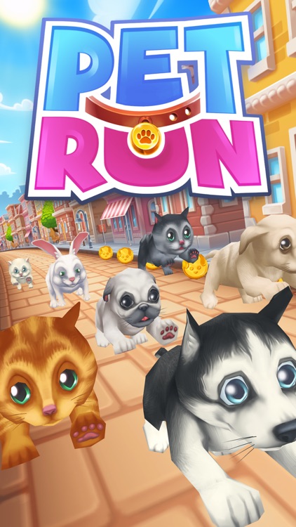 Pet Run - Puppy Dog game