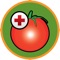 The Hazera tomato disease app is a practical instrument for tomato growers to recognise diseases and malfunctions in tomato