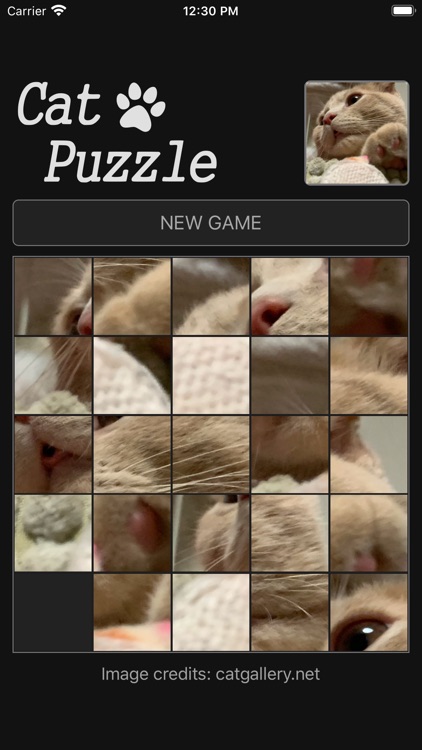 Cat Sliding Puzzle