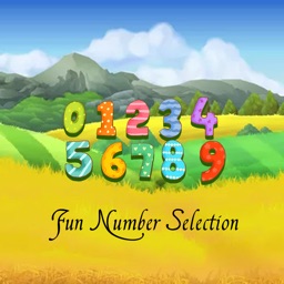 Fun Number Selection