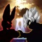 Devil of Saiyan is a fighting game with super skills, power and transform base on very popular story about saiyan warrior