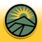 Manage your accounts on the go with New England Federal Credit Union’s Mobile App