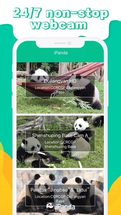 iPanda