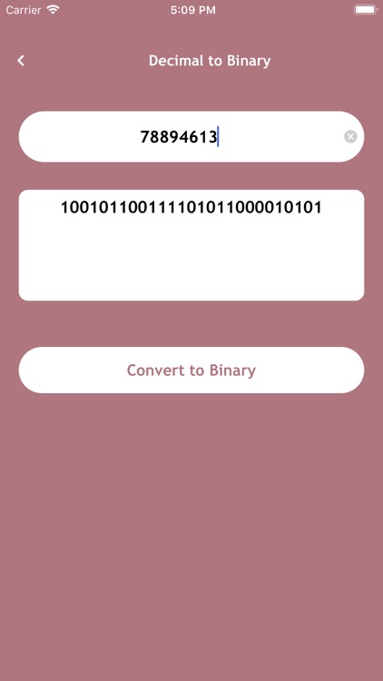 Binary Converter Pro