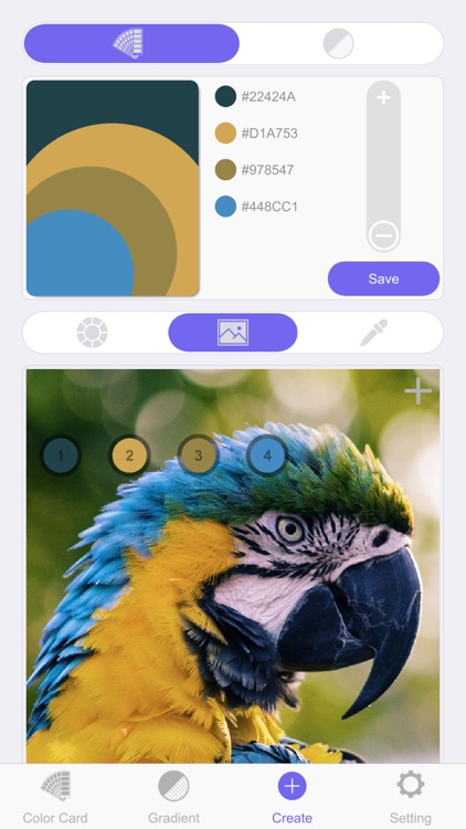 Color Card Pro