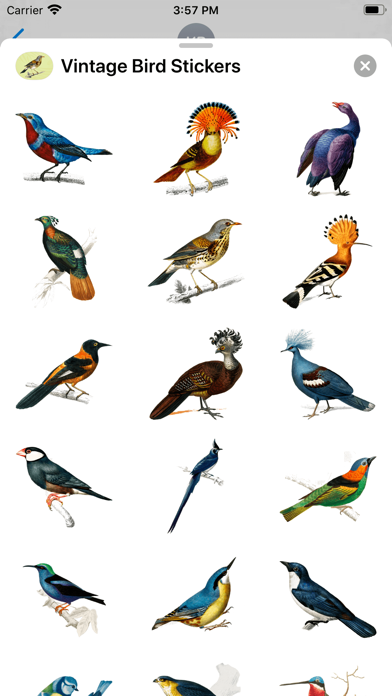 Vintage Bird Stickers screenshot 2