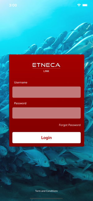 Etneca Link(圖1)-速報App