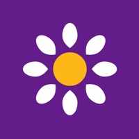 Bellis - Tilbud på oplevelser pour PC