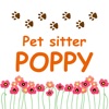Pet sitter POPPY