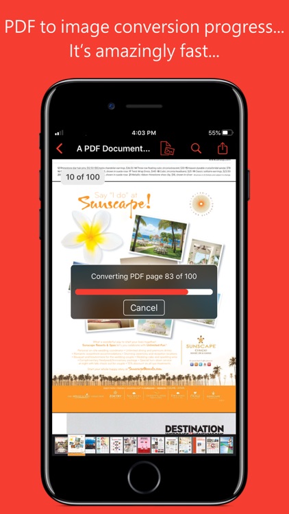 PDF to JPG for iOS