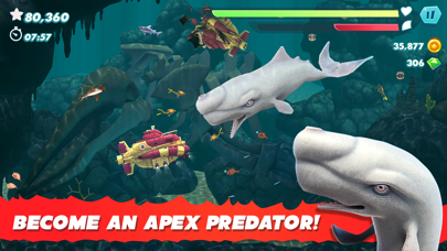 Hungry Shark Evolution By Ubisoft Ios United States Searchman App Data Information - classicblood to death roblox