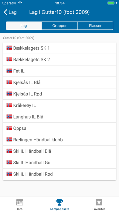 Håndballcupen Ski screenshot 3