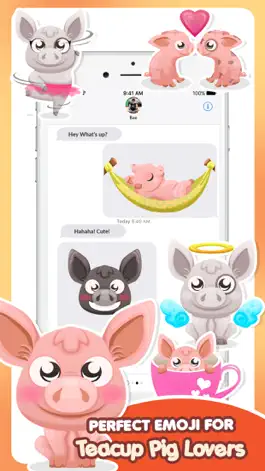 Game screenshot Mini-Pig Pet Emoji Stickers mod apk