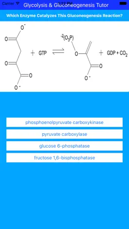 Game screenshot Glycolysis Glucogenesis Tutor mod apk