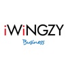 iWiNGZY Business