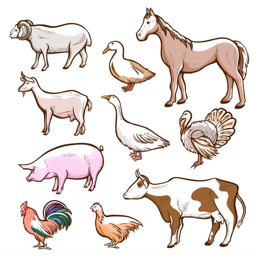 Animals body parts vocabulary