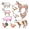 Learn the names and pronunciation of the  animal body parts in English