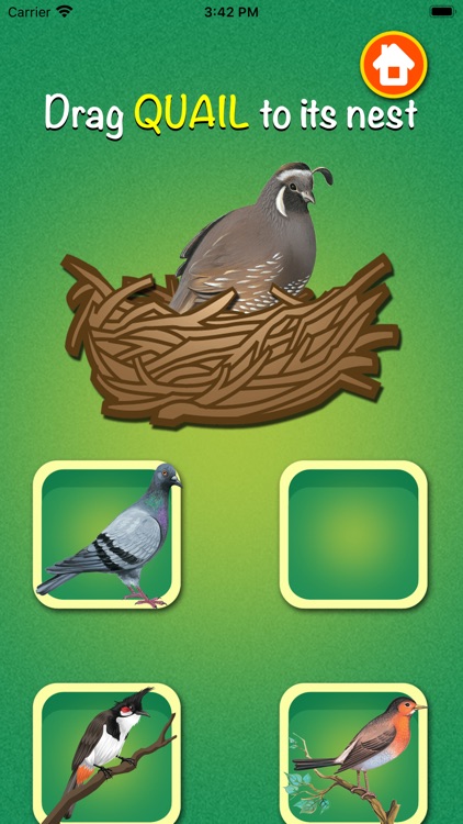 Learn about Birds screenshot-3