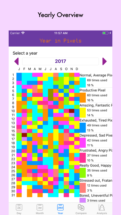 Your Year in Pixels screenshot 3