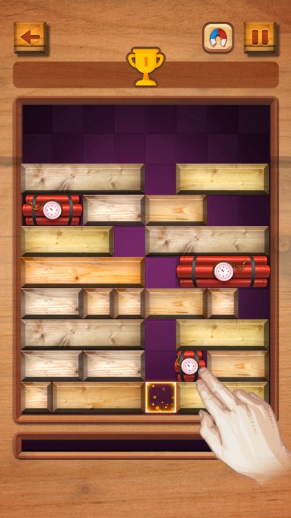 Slide Block Puzzle Dropdom screenshot-3