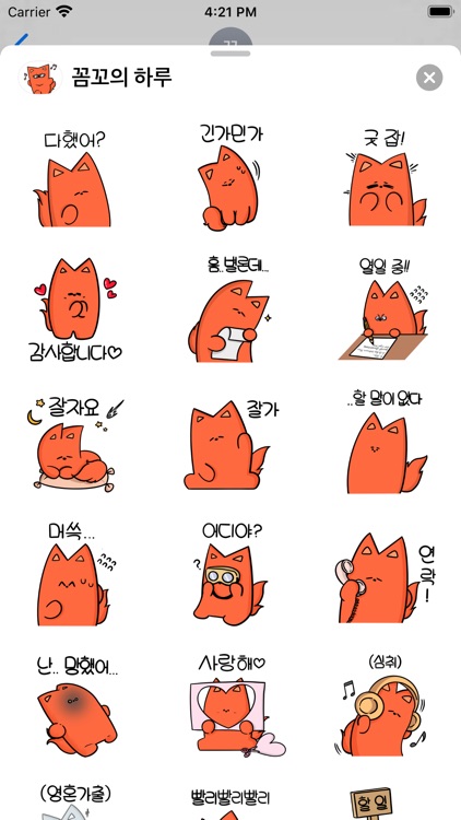 꼼꼬의 하루