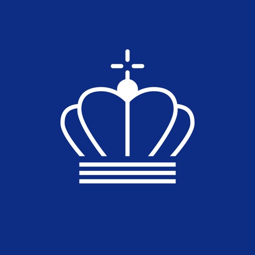 DMI Vejr