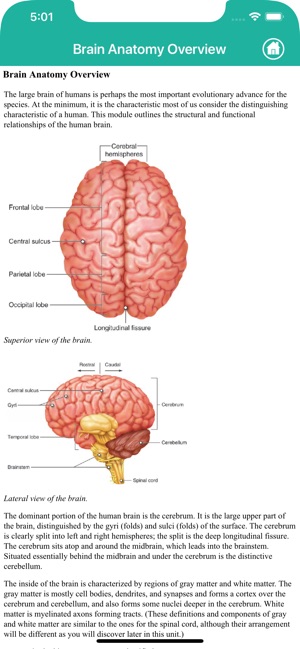 Learn Brain Anatomy(圖9)-速報App