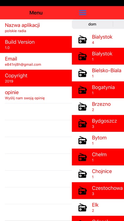 Polish Radio Stations screenshot-4