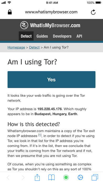 Torsec Browser screenshot 3