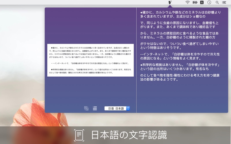 Text_Scanner_PDF_Document.app caprure 5 5_Text_Scanner_PDF_Document.jpg